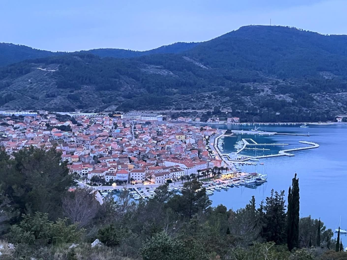 Izvještaj s terenskog rada: Kultura sjećanja na Olivera Dragojevića u Veloj Luci